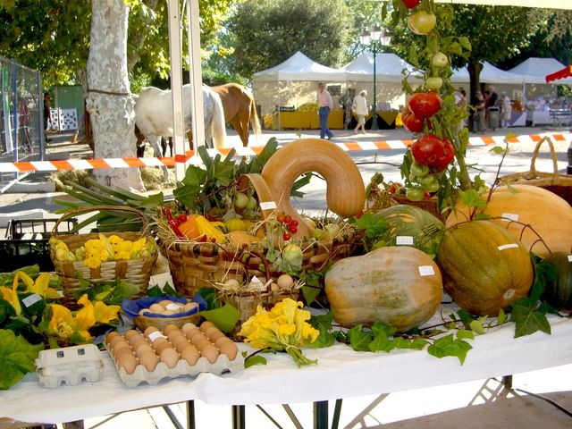 Fete Agricole 06 concours